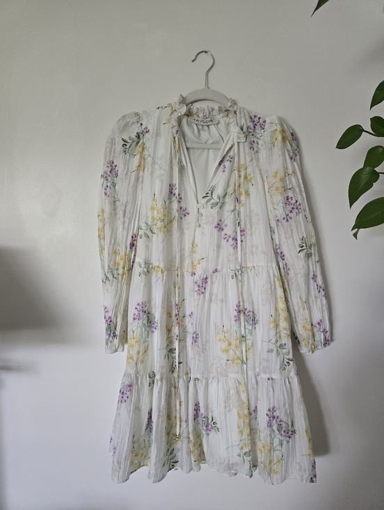 Taylor Dresses & Skirts - TAYLOR size Small Ivory Floral Spring Long Sleeves Unlined Dress